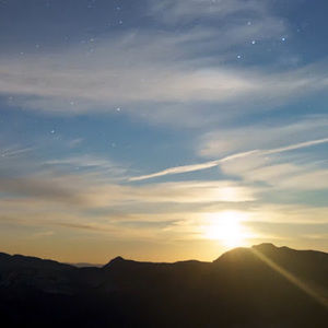 Meet your Posher, Joyce